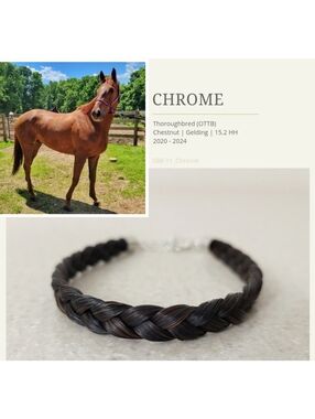 Bubba Chrome | Simple Braided Bracelet